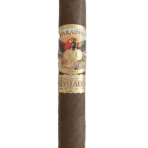 Ashton-Paradiso-Revelation-Robusto-Stick