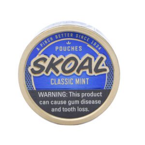 Skoal Mint Pouches