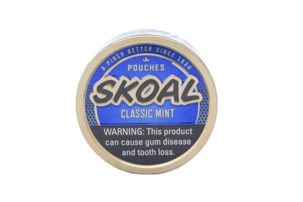 Skoal Mint Pouches