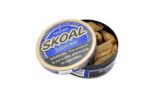 Skoal Mint Pouches