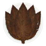 Fronto Leaf, 5 Grabba Leaf Package