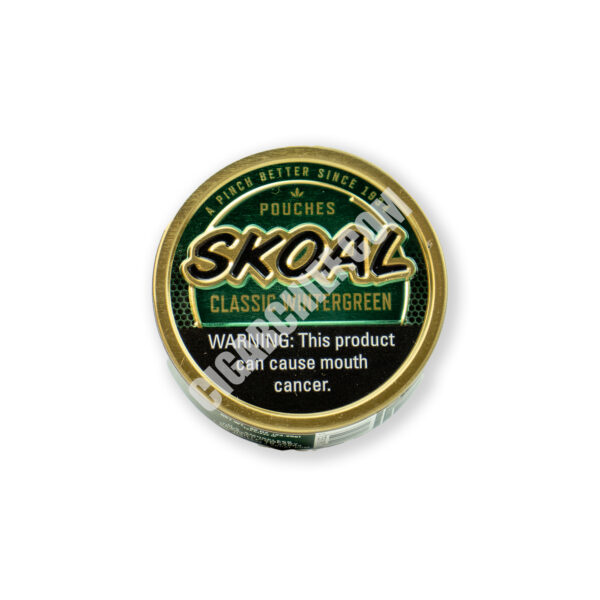 Skoal Wintergreen Pouches