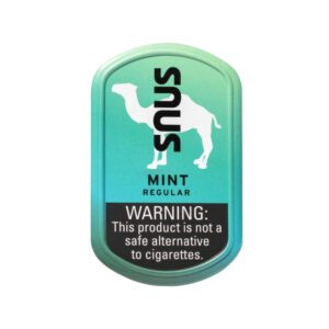 Camel Snus Mint Regular