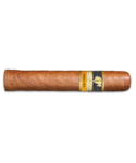 Cohiba Robusto Cigar