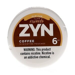 Zyn Cinnamon Pouches 6mg