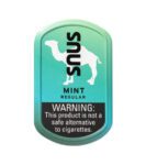 Camel Snus Mint