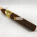 Ashton VSG Torpedo