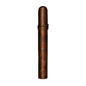 CAO Amazon Basin Toro