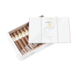 Davidoff Winston Churchill Robusto