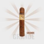 El Viejo Continente Classic - Grande - Cigar Conexion | House Of Handmade Cigars