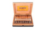 Rocky Patel Vintage 2006 Toro - Cigar Conexion | House Of Handmade Cigars