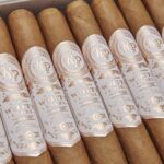 Rocky Patel White Label Robusto - Cigar Conexion | House Of Handmade Cigars