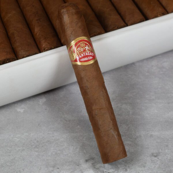 Partagas Shorts