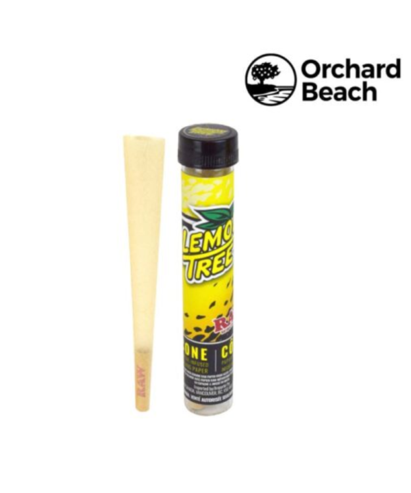 Orchard Beach Terpene Infused Lemon Tree Raw Cone