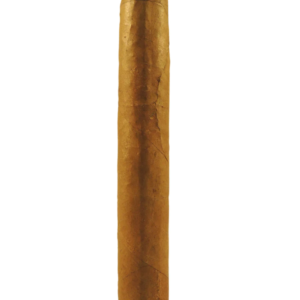 Junction Dominican Robusto Cigar