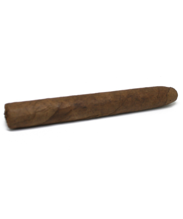 La Aurora Principes Corona Caribbean Cigar